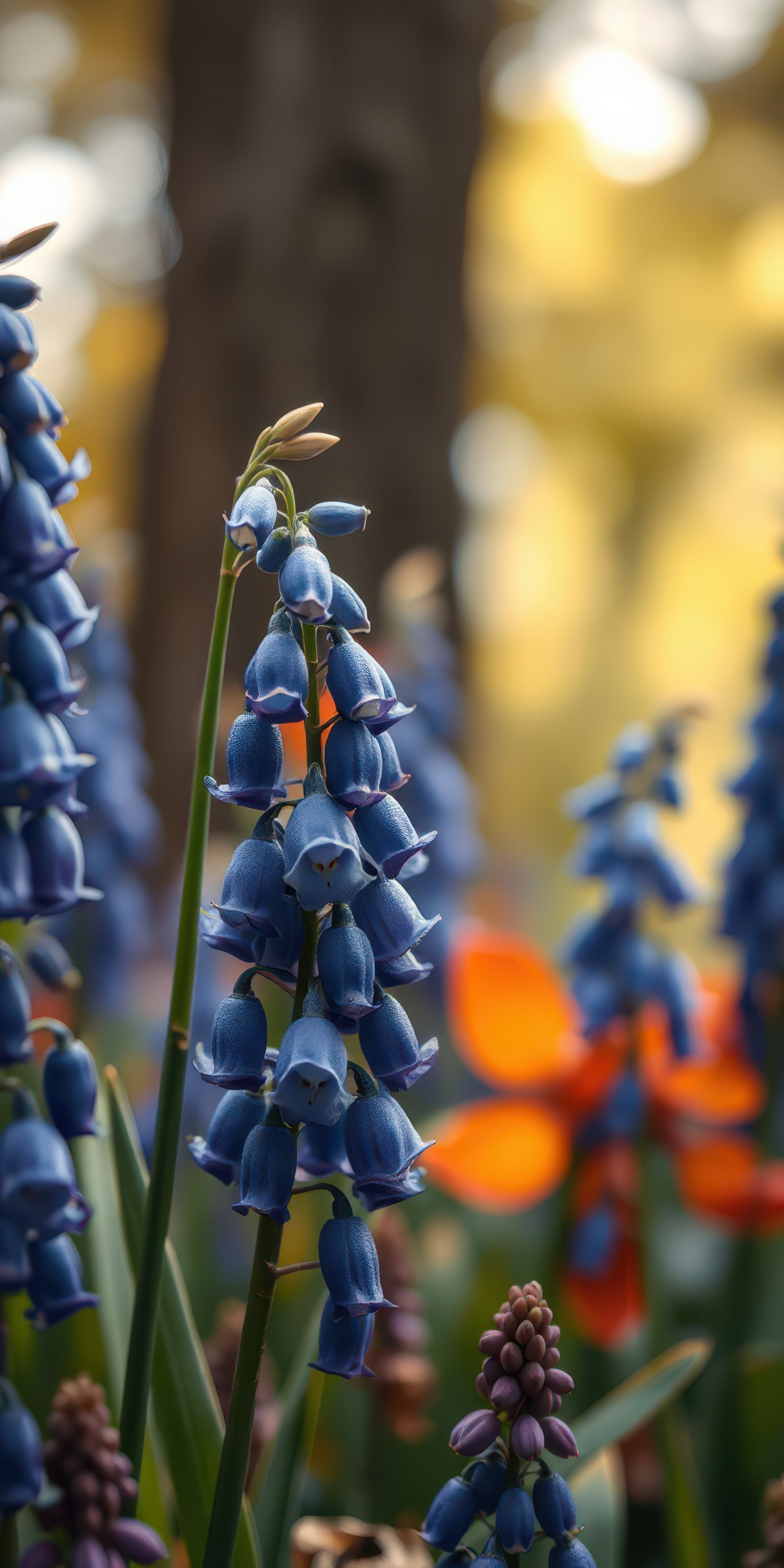 Vibrant blue flowers bloom in a sunlit garden surrounded by warm autumn tones and other colorful blossoms